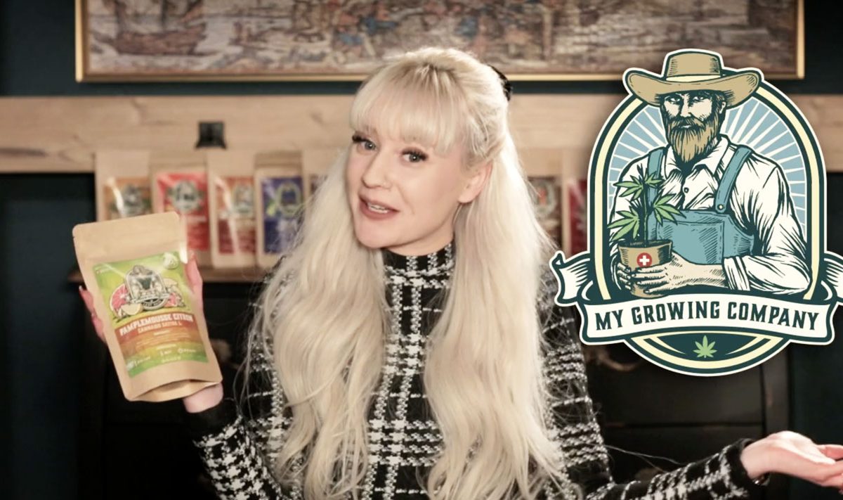 le moment infusion CBD de chloé