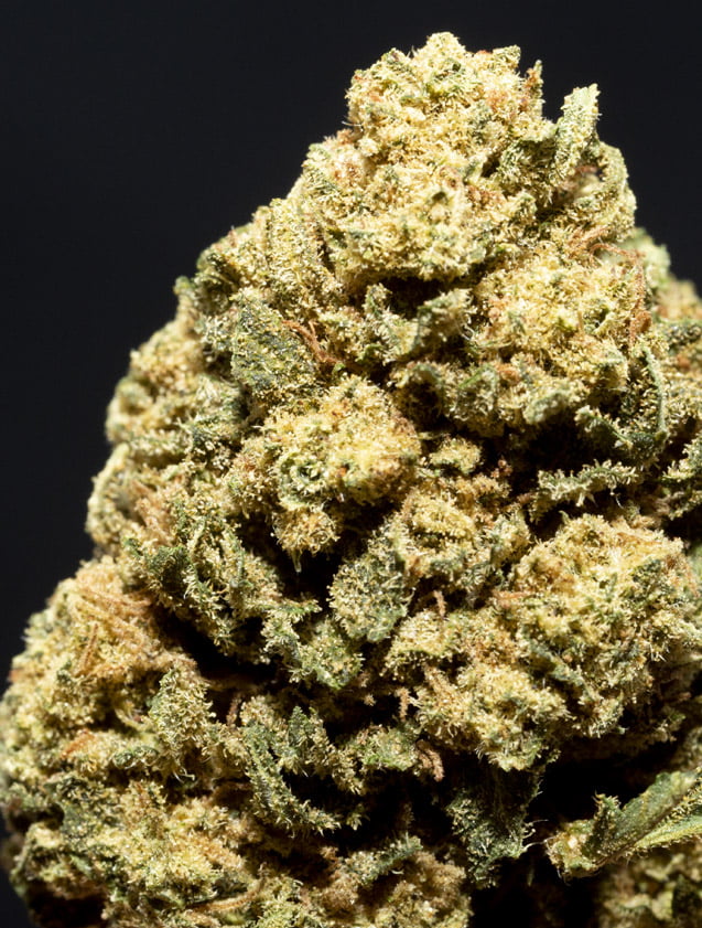 Fleurs de cannabis CBD