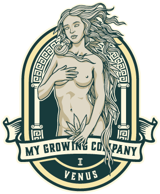 MGC my growing company Venus qualité cannabis CBD optimal