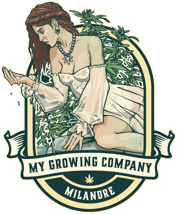 Milandre logo fleur de cannabis CBD outdoor my growing company