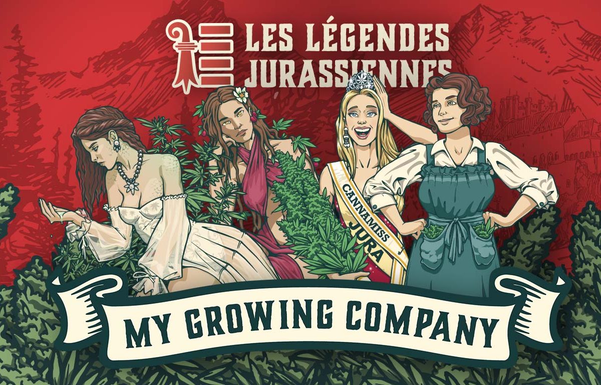 Les jurassienne, Les fleurts de cannabis CBD outdoor My Growing Company 2023