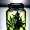 maintenir les fleurs de cannabis fraîches