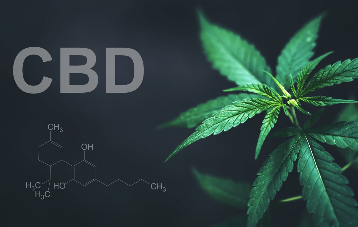 Le CBD, contraction de cannabidiol