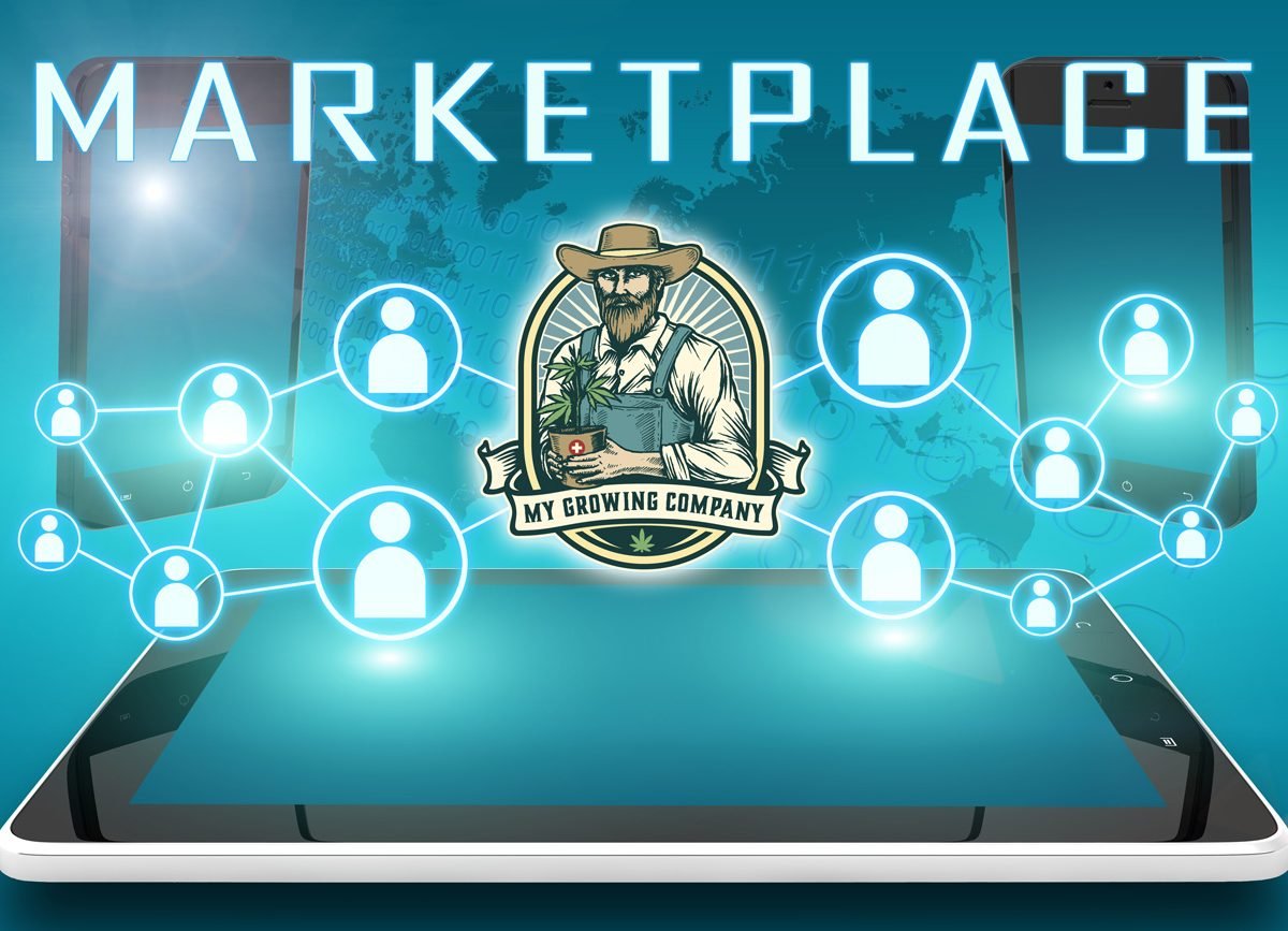 cannabis CBD marketplace on My Growing Company